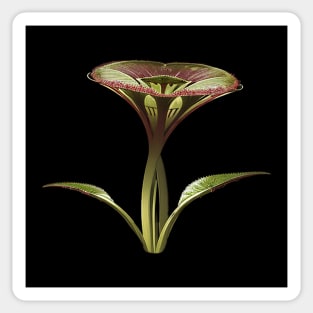 Weird Fantasy Flower - Pitcher Plant Sticker